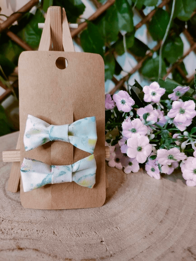 Duo barrettes perroquet 5cm